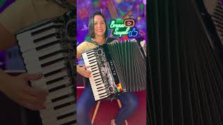 Pau que dá cavaco #gaita #musica #sanfona #acordeon #gaiteira #sanfoneira #pauquedacavaco #gaucho