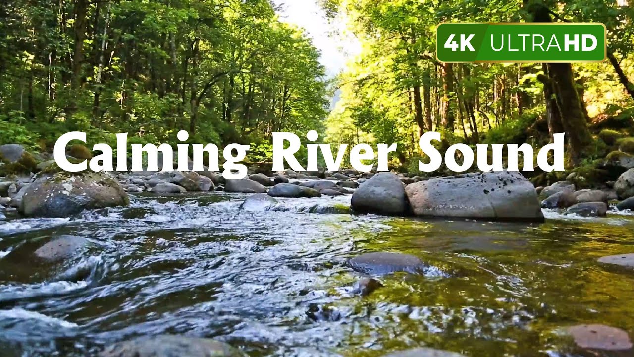 Beautiful sounds of the forest, Birds chirping, Calming river sound, Anxiety, Heal The Mind