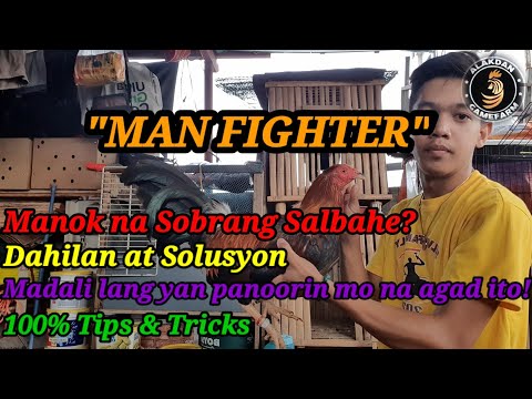 Video: Paano Mapupuksa ang Mga Alakdan - Mga Tip Para sa Pagkontrol sa Mga Alakdan sa Hardin