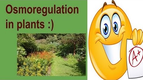 OSMOREGULATION IN PLANTS Class 12 | What are Hydrophytes?| What are Mesophytes?| What are Xerophytes