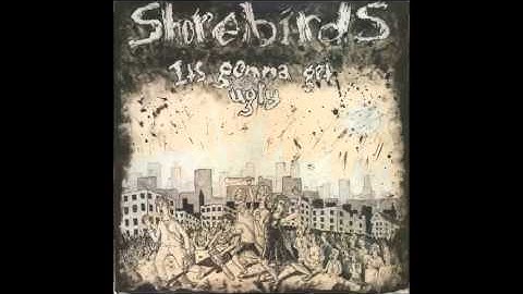 Shorebirds -  Runaway