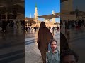 #TIMELAPSE: START to FINISH Alone BUILD LOG Cabin (Wooden House) #shorts #viral #videos #makkah