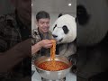 eating noodle 🍜 with Panda 🐼 #tranding #ai #viral #aivideo