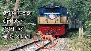 জীবনরক্ষায় ট্রেনের সঙ্গে ৫ কিমি. দৌড়ালো কুকুর, সাসপেন্ড হলেন ট্রেনচালক! বিস্তারিত দেখুন ভিডিও tgn 24 screenshot 2