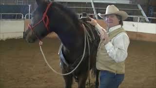 Soft Face screenshot 2