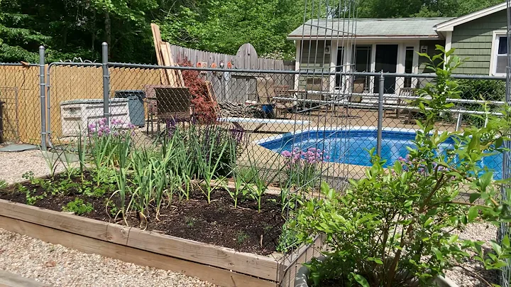 Garden Tour - June 2, 2021