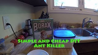 Simple and Cheap DIY Ant Killer screenshot 2