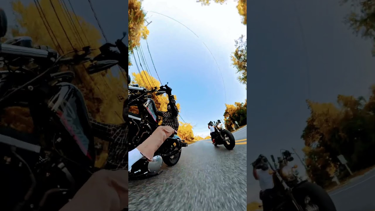 #harleydavidson48 #lifeisbutadream #harleylife #bikelife #harley