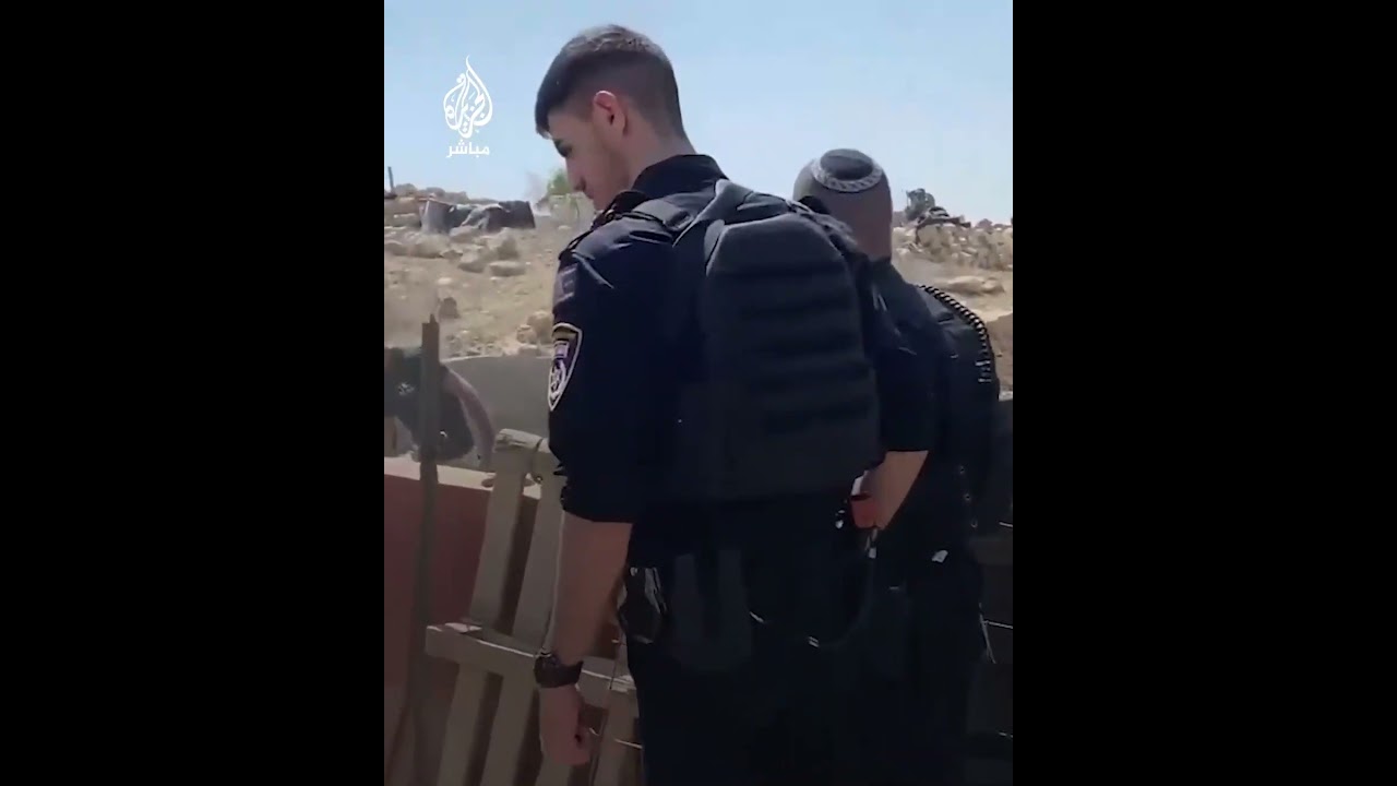 بحماية شرطة الاحتـلال.. مستوطنون يسرقون أغنامًا في مسافر يطا جنوب الخليل بالضفة الغربية