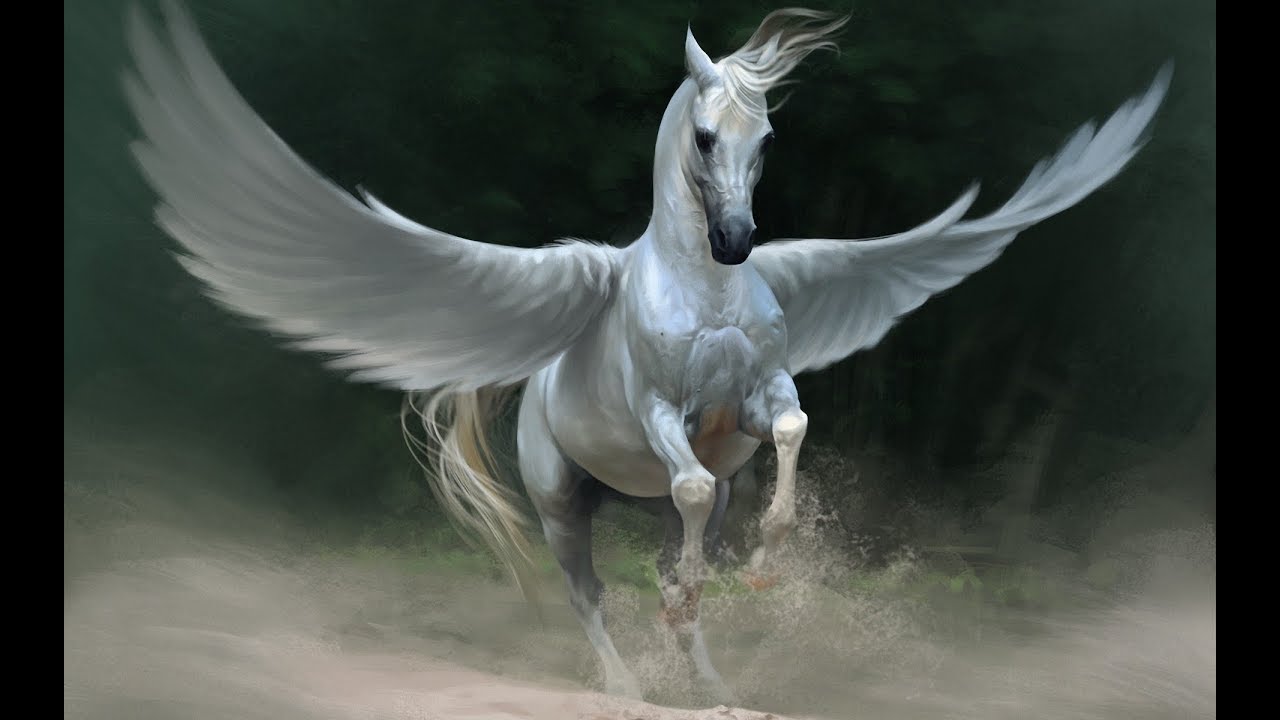 nile pegasus