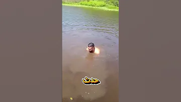 لحظة رعب رجل يخطو على مخلوق زاحف تحت الماء اكسبلور تمساح بحر 