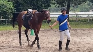 horseball & ride(64)③引き馬(曳き馬)