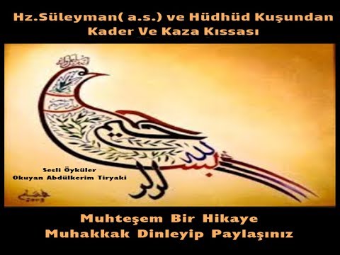 Hz. Süleyman (a.s)  ve Hüdhüd Kuşu