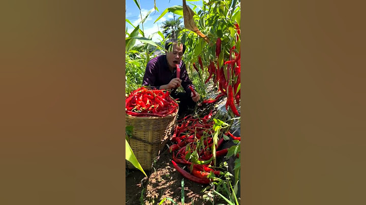 Do you dare to eat red peppers like this?
