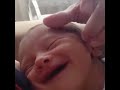 موزيكلي انا بعشقه حالات وتس 