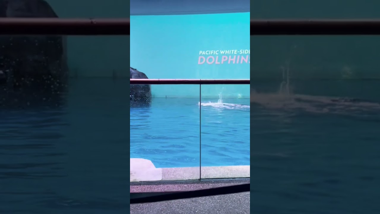 WoW experience from front row 