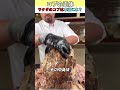 ラクダは本当にコブに水を溜めている？