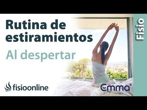 Vídeo: Com Organitzar El Dia Correctament