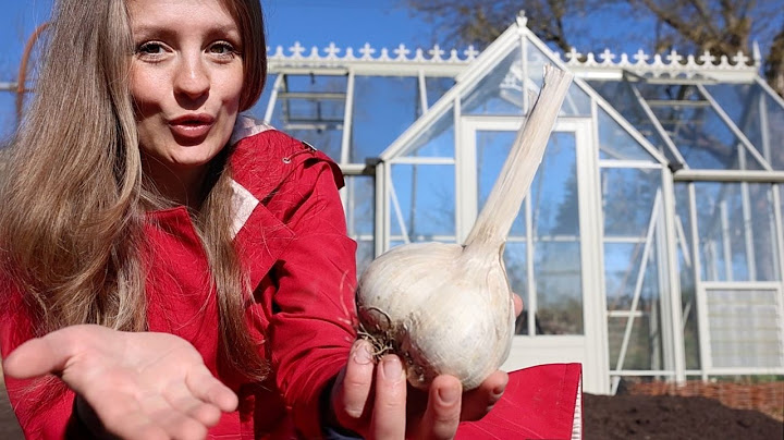 🍓The 17 most important garden tasks in April