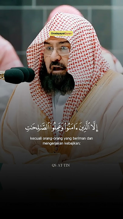 Surah at-tin | syeikh Abdulrahman as sudais #quran #onedayayatquran