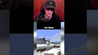 el oso polar