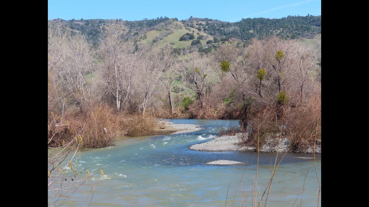 Cloverdale River Park February 2025