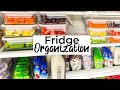 Fridge Organization 🌟 Refrigerator Clean and Organize with me