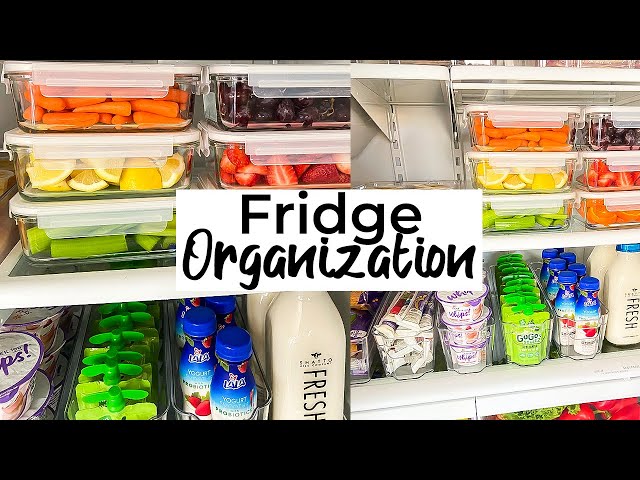 My Clean and Organized Refrigerator - Kara Creates