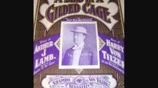 Video thumbnail of "Harry Anthony - A Bird in a Gilded Cage (1904)"