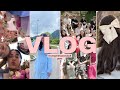 Vlog   