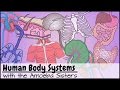 Human Body Systems Functions Overview: The 11 Champions (Updated)