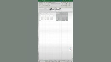 Excel tip to auto format and format painter