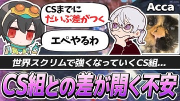 世界スクリムで強くなるCS組…差が開かないようにAPEXを再始動する4rufa【APEX/Wabu/Acca/REJECT】