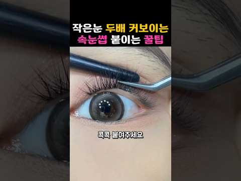 [95만뷰] 모르면 손해! 가닥 속눈썹 붙이는 꿀팁✨️ #메이크업 #뷰티꿀팁 #속눈썹붙이기