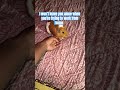 Only if she could tell me herself 😊 #fypシ #pets #guineapighome #guineapig #cute #funny #fypシ゚viral