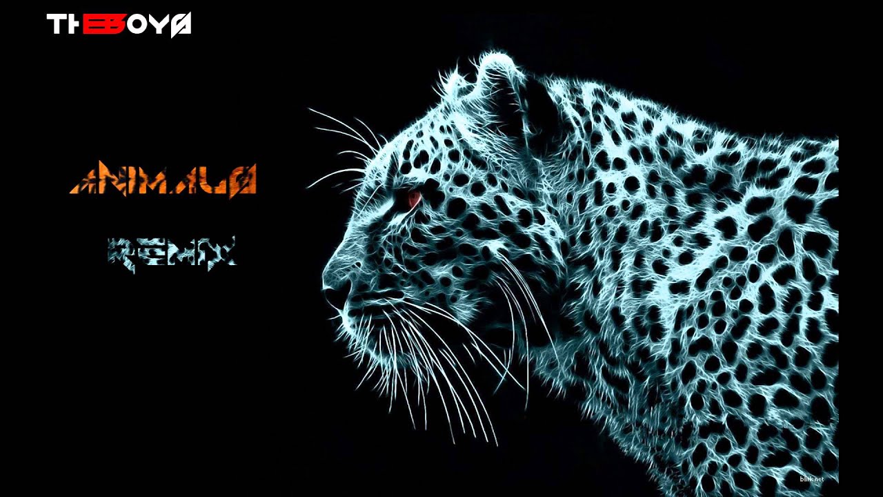 songs like animals martin garrix songs like animals martin garrix