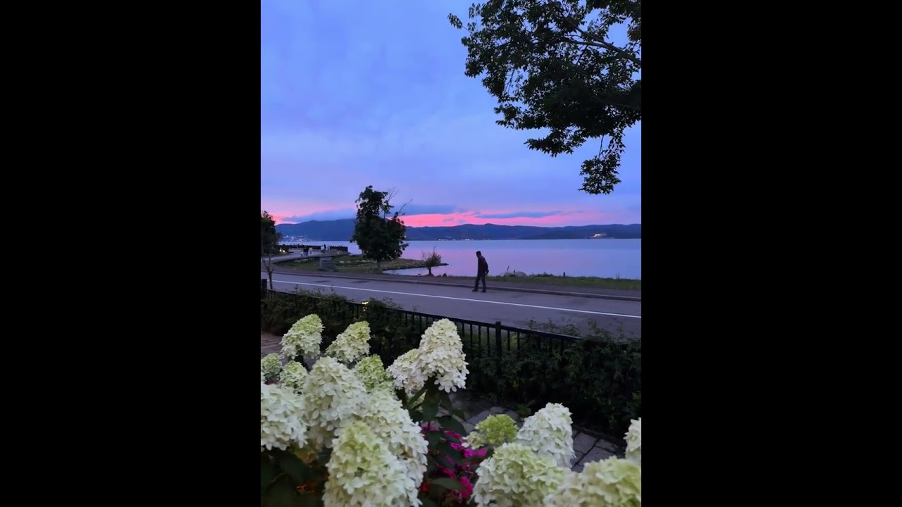 Sunset Strolls with You?~