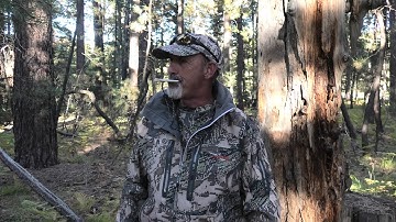 Raccoon Call - Instructional video using the Dominator Game Call