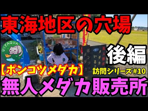 A hidden gem in the Tokai region! Visit to an unmanned medaka