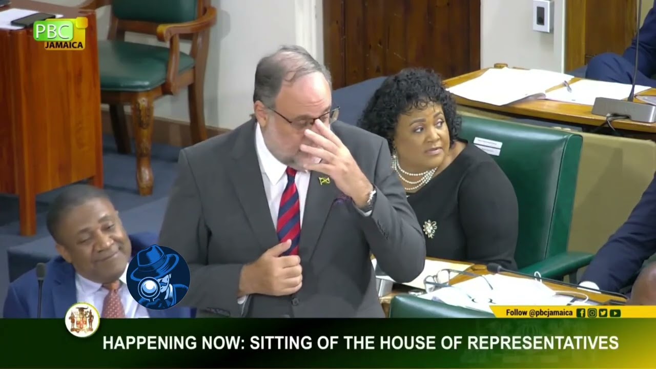 Вирусный момент: Дэрил Ваз защищает кредит JPS и поджигает оппозицию в жарких дебатах