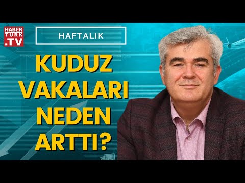 Kuduz en çok hangi illerde arttı?  Mustafa Hasöksüz açıkladı?