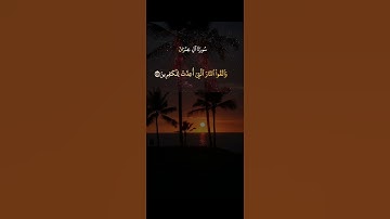 سورة آل عمران #قران_كريم #اكسبلور #الرحمن #دويتو #حالات_واتس #لايك #duet #راحة_نفسية