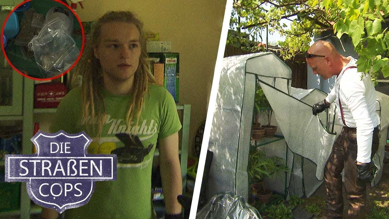 Drogendealer Werden Drogendealer Werden