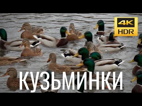 Парк Кузьминки