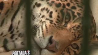 Daniel Uzcategui Visitó Mérida