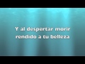 Tú y yo - Ricky Martin with Lyrics