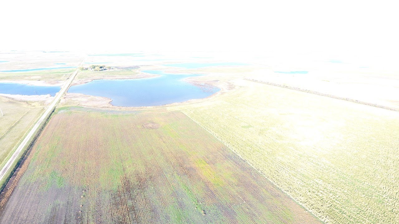 640 Acre Land & Farmstead Auction, Towner County, ND, Wed, Dec 8, 2021