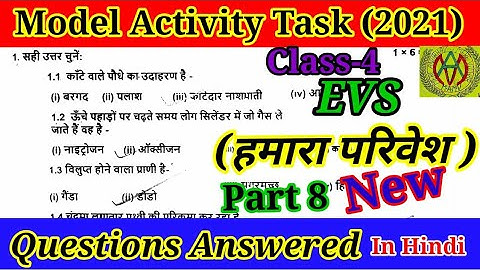 Model Activity Task Class 4 Hamara Parivesh Part 8In Hindi Slove 2021| MERE ANUBHAV and MERE VICHAR