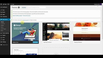 Beep WordPress Theme - Tutorial - Installation & Demo content