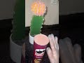 گوشتئ قوديكا لحم لانشون الدجاج
